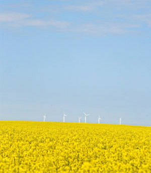 Mecklenburg-Vorpommern