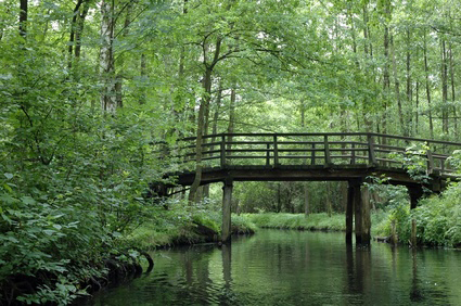 spreewald