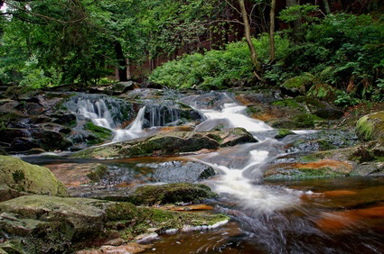 Harz